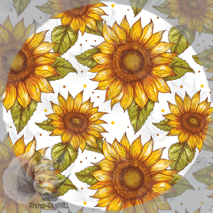 Sunflowers on White Background